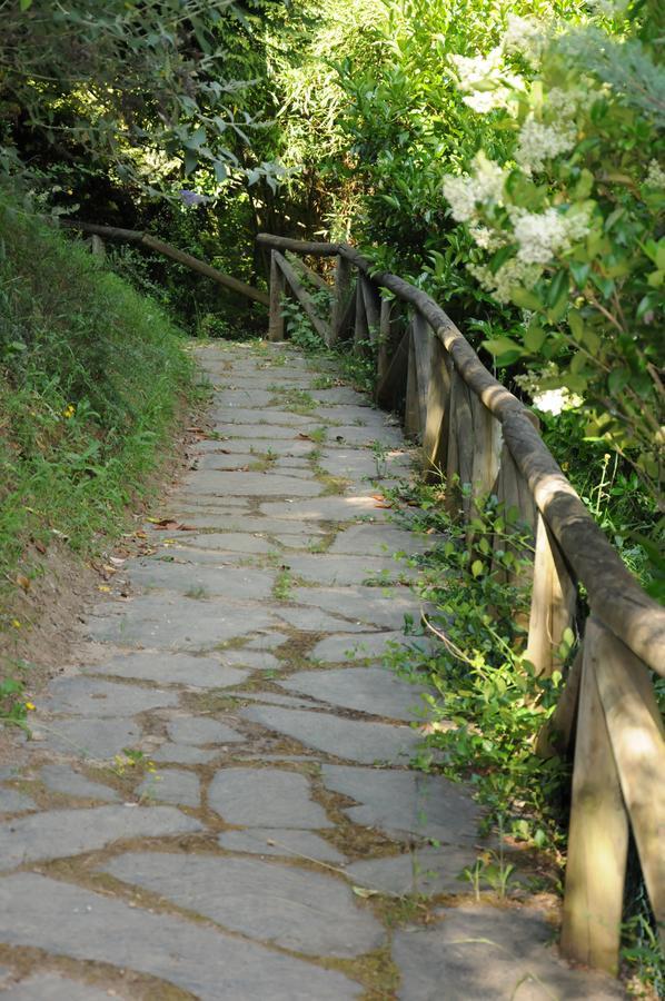 Hostal La Torre II Puente de Domingo Florez エクステリア 写真
